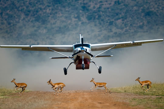 3 Days Masai Mara Air Safari